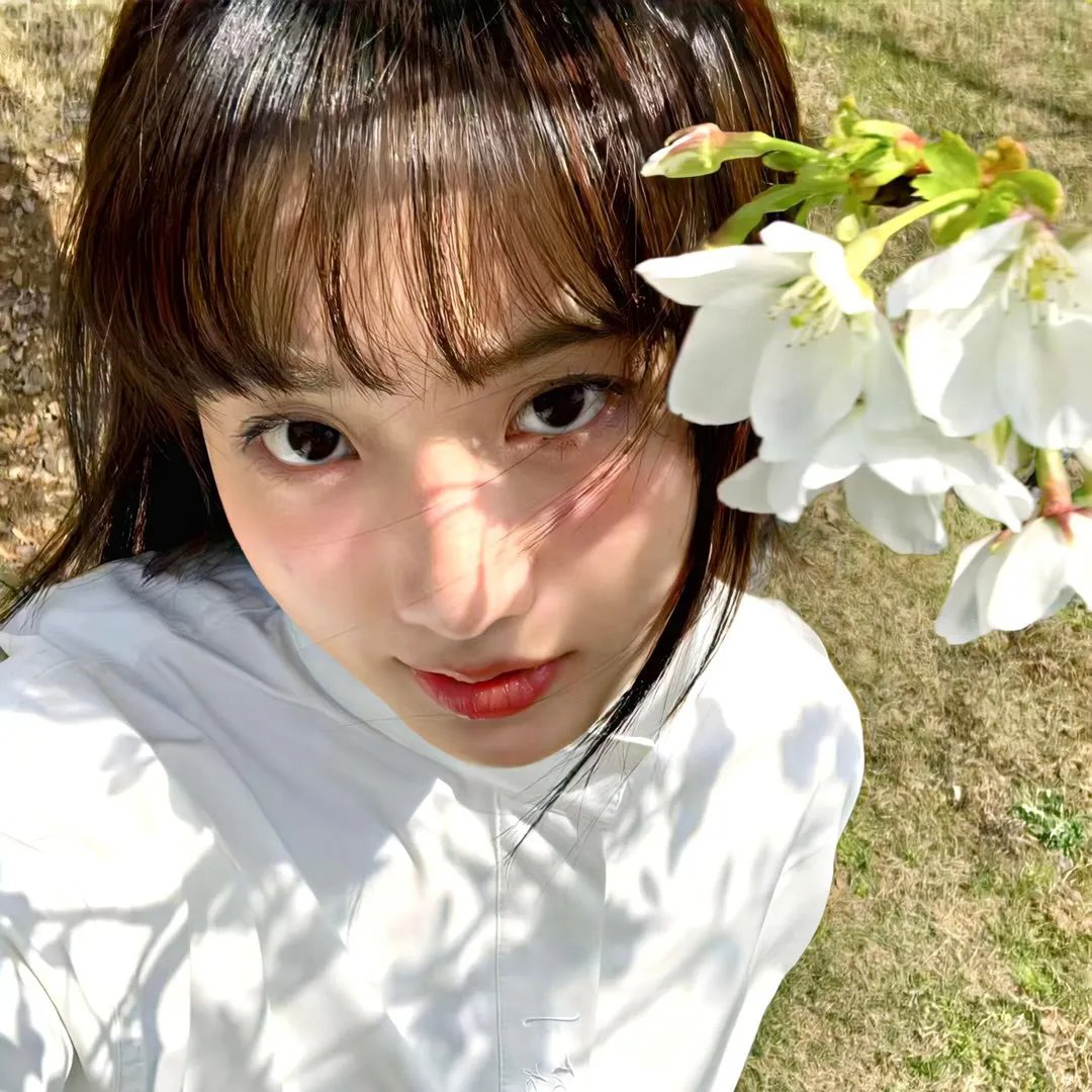 七品芝麻官